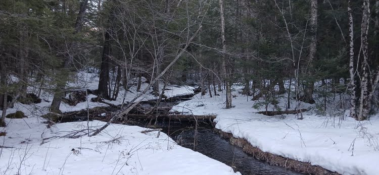 Dead Branch Trail, Chesterfield, MA