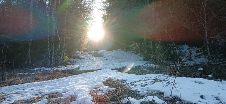morning on the trail