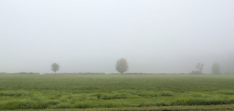 A landscape image shrouded in morning mist.